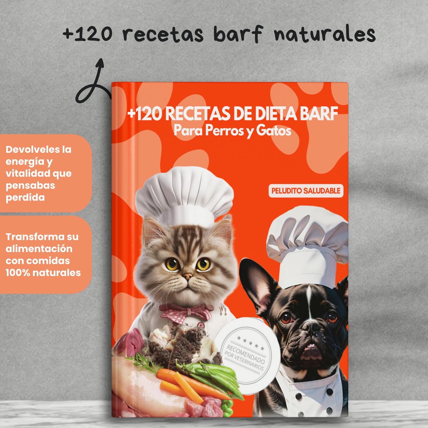 +120 Recetas de Dieta BARF Para PERROS